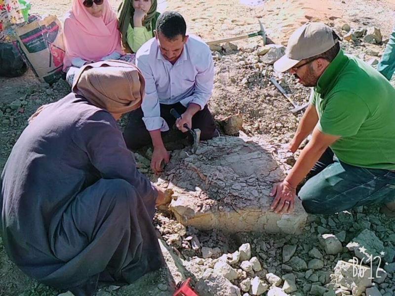 علماء من جامعتي الوادي الجديد والقاهرة يكتشفون (سلحفاة نهرية يرجع عمرها لأكثر من 70 مليون سنة) بواحة الخارجة بالصحراء الغربية بمصر