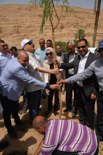 محافظ أسيوط يشارك فى حملة تشجير وزراعة الاشجار بقرية العقال القبلى بمركز البدارى
