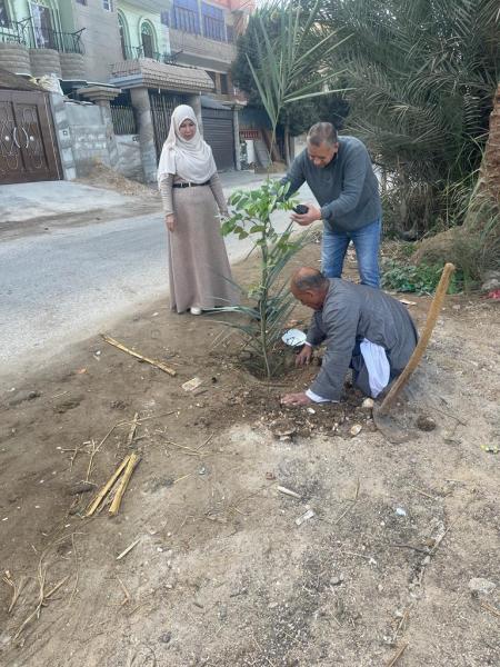 محافظ أسيوط تنفيذ أعمال تشجير وزراعت شتلات بمركز البدارى ضمن مبادرة زراعة 100مليون شجرة