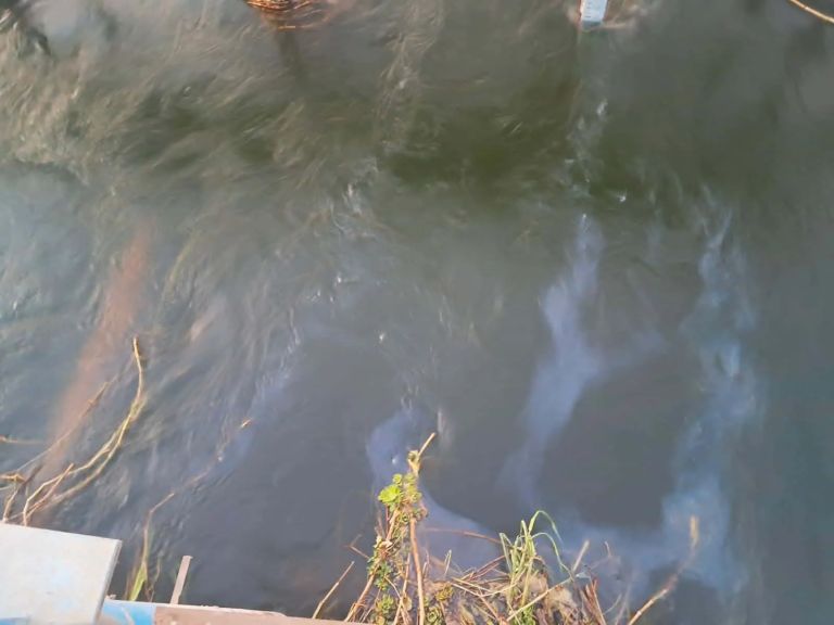 مياه سوهاج ترفع حالة الاستعداد القصوى إثر رصد تسريب بقعة سولار بمياه النيل بالمراغة