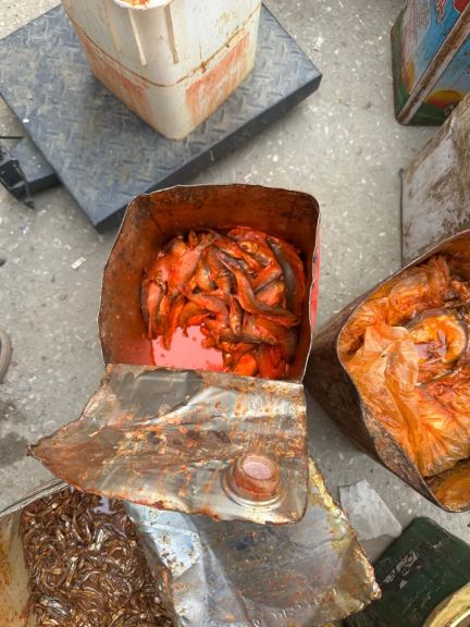 ”محافظ أسيوط ” ضبط 250  كجم أسماك فاسدة في حملة رقابية مكبرة بالأسواق خلال إجازة عيد الفطر