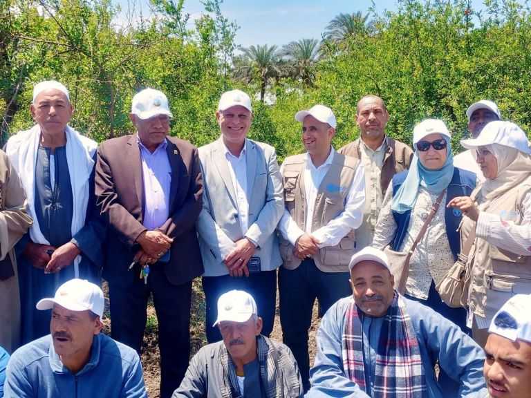 محافظ أسيوط: ورشة عمل لتعزيز نظم الري الحديث وتحسين إنتاج الرمان بالتعاون مع ”الفاو”