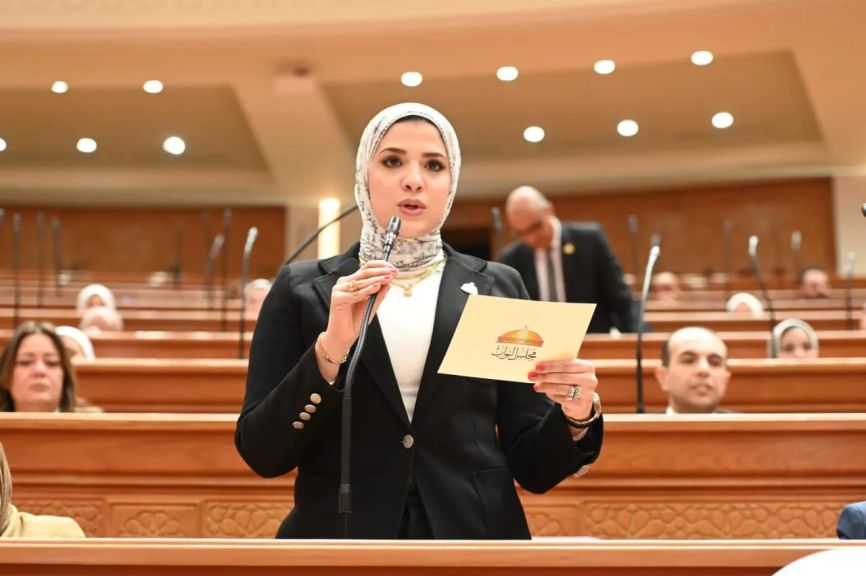 النائبة غادة قنديل تهنئ الرئيس عبدالفتاح السيسي وعمال مصر بالاحتفالات بعيد العمال