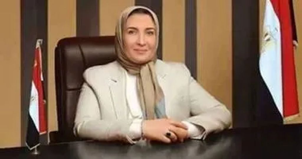 النائبة سناء برغش تشيد بقرارات الرئيس وتؤكد انها تدعم العامل والصناعة الوطنية