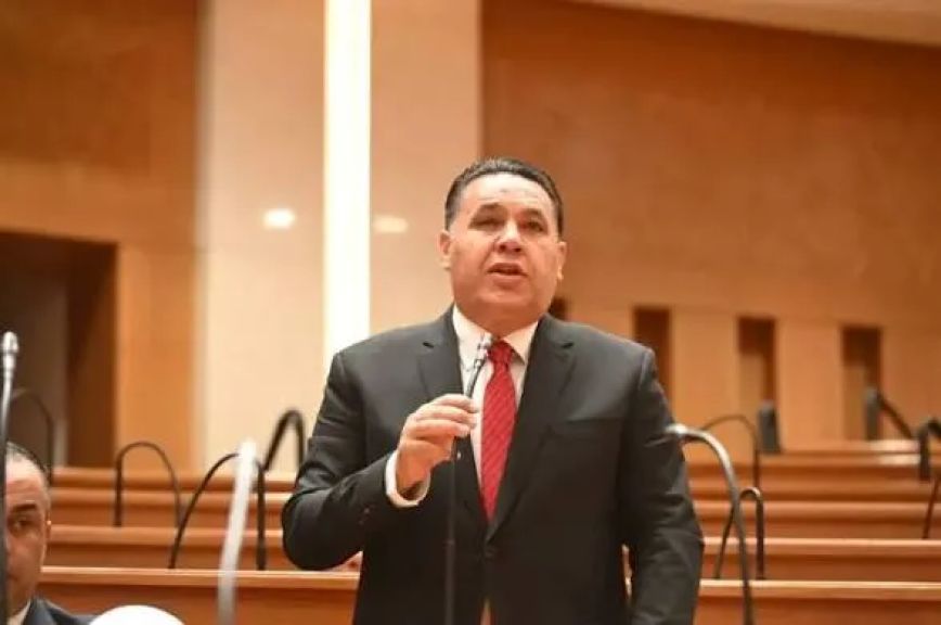 النائب عماد الغنيمى فى الجلسة العامة بالنواب : التعديل المقترح لمشروع قانون التأمينات فى صالح المؤمن عليهم