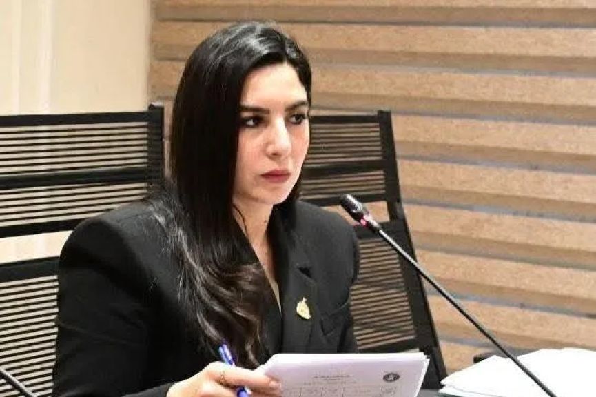 النائبة شذا احمدحبيب آمين سر لجنة الشباب والرياضة:  وتوفير كافة الإمكانيات اللازمة لإعدادهم بالشكل الذي يليق باسم مصر في المحافل الدولية