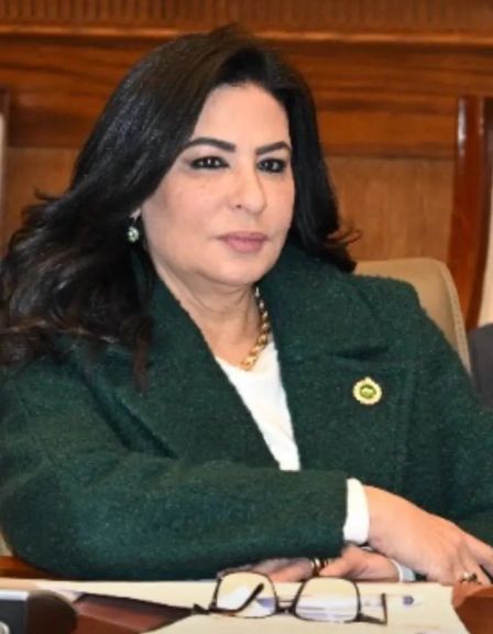 هالة كيرة عضو مجلس الشيوخ  اتبنى قضية مشاكل التطوير العقاري ونطالب بهيئة لتتولى الإشراف على المشروعات العقارية لمنع الاحتيال