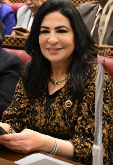 النائبة هالة كيرة عضو مجلس الشيوخ : افتتاح الرئيس عبدالفتاح السيسي لمشروع الدلتا الجديدة اثلج صدور المصريين