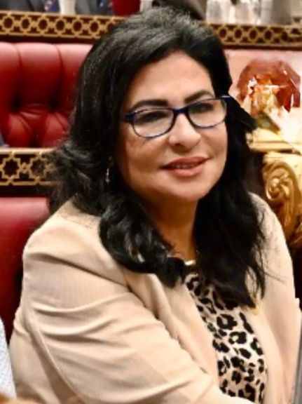 النائبة هالة كيرة: كلمة الرئيس فى يوم أفريقيا تعكس عمق علاقات مصر بالقارة الإفريقية