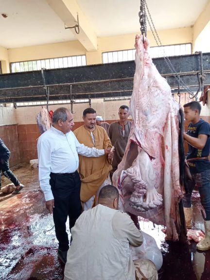 محافظ أسيوط: ذبح 655 أضحية بالمجازر الحكومية خلال عيد الأضحى وجهود متكاملة لتعزيز الأمن الغذائي وحماية الصحة العامة