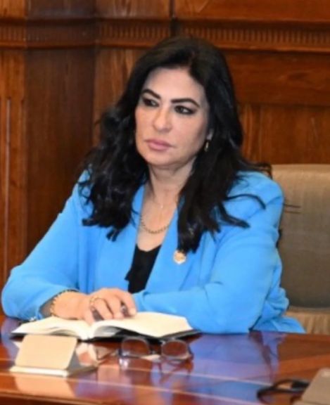 النائبة هالة كيرة تتقدم باقتراح برغبة لإنشاء نقابة موحدة وهيئة مستقلة تشرف على ”شركات الحراسات الخاصة”