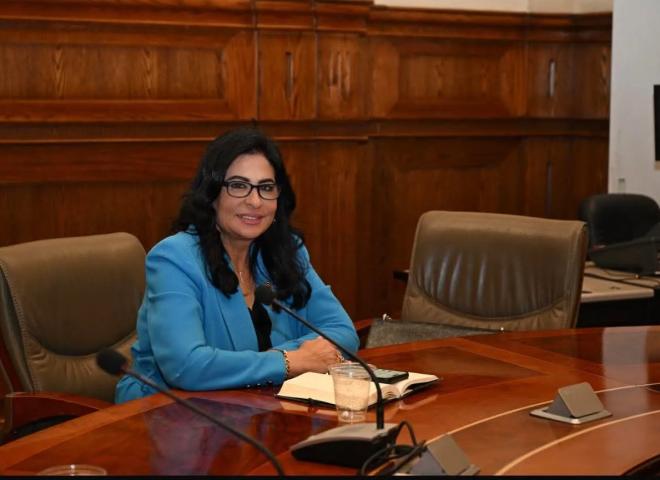 النائبة هالة كيرة تهنئ الرئيس والشعب المصرى والامه الإسلامية بالعام الهجرى الجديد