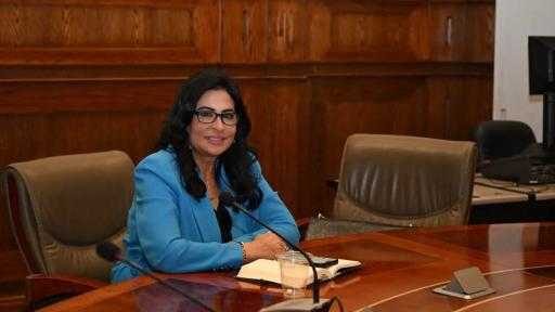 النائبة هالة كيرة تهنئ الرئيس والشعب المصرى والامه الإسلامية بالعام الهجرى الجديد