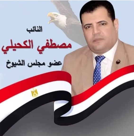 النائب مصطفى الكحيلى ثورة  30 يونيو أعادت الدولة المصرية وقدرتها على حماية مؤسساتها